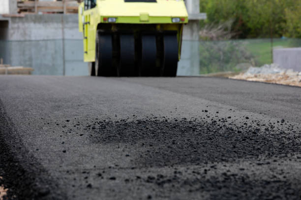 Best Best Driveway Pavers  in Steger, IL