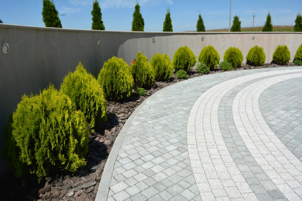 Best Driveway Pavers Installation  in Steger, IL